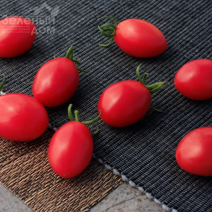 Розестар F1 / Rozestar F1  фото 1