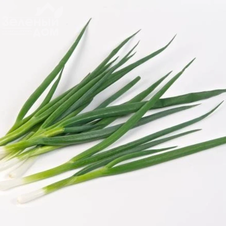 Йода F1 / Yoda F1 фото 2