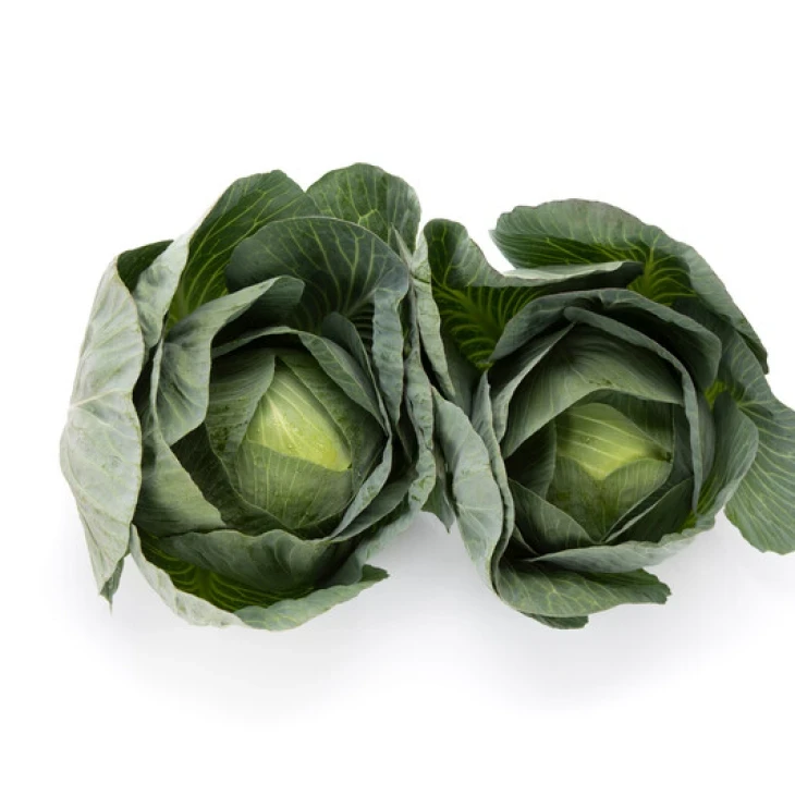 Лонгма F1 / Longma F1, 140-150 дней фото 1