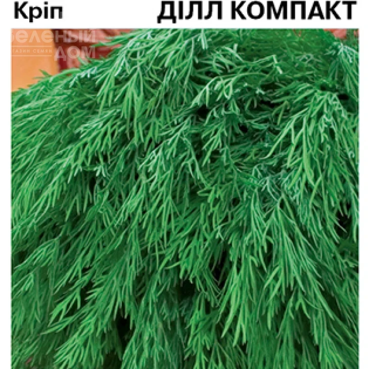 Дилл Компакт / Dill Compact фото 1