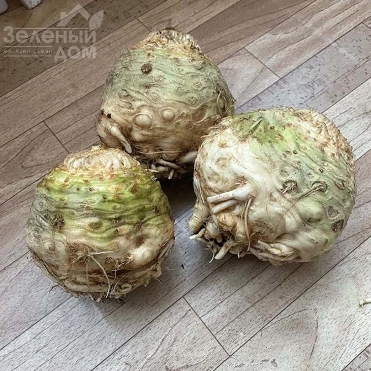 Вольт F1 / Volt F1 фото 3