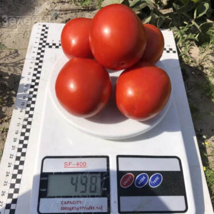 9969 F1 / 9969 F1, 105 дней фото 12