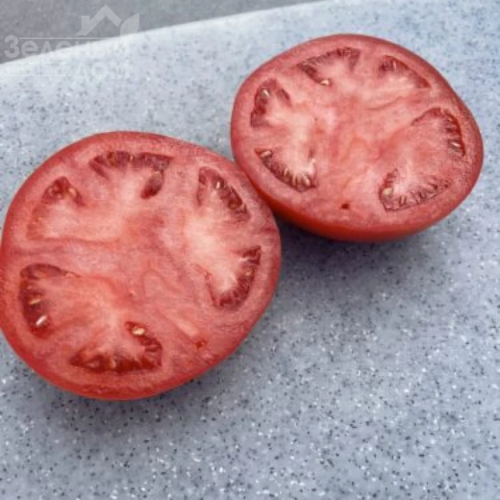 Стронг F1 / Strong F1, 115 дней фото 2