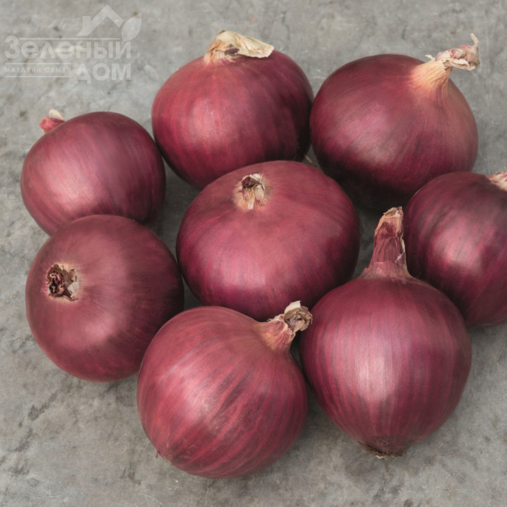 Ред Булл F1 / Red Bull F1,115-120 днів фото 2