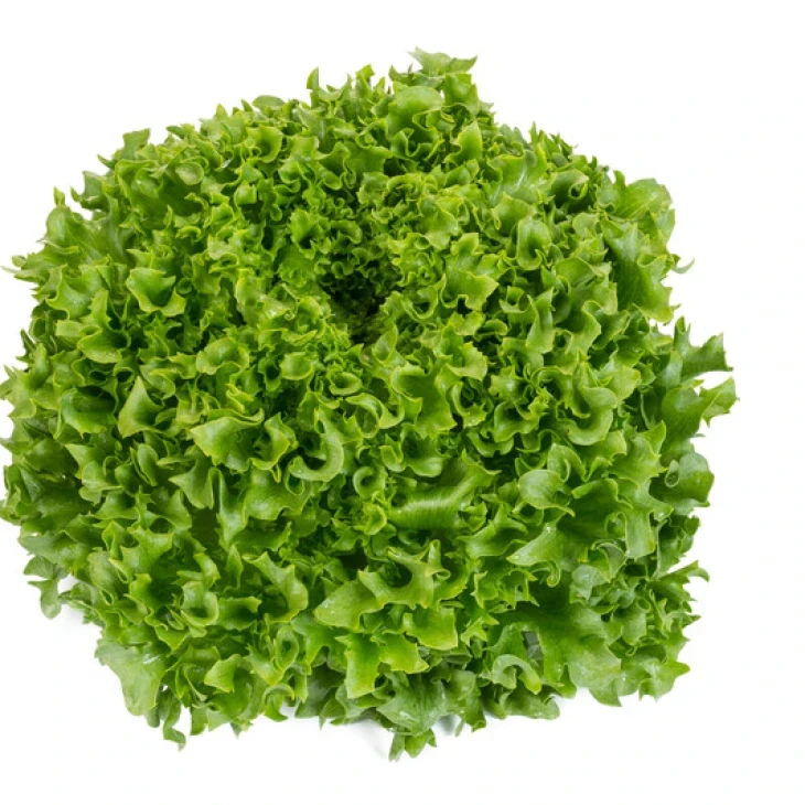 Дюнан / Dunand фото 1