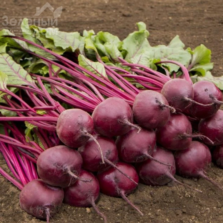 Бреско F1/ Bresco F1, 108 дней фото 2