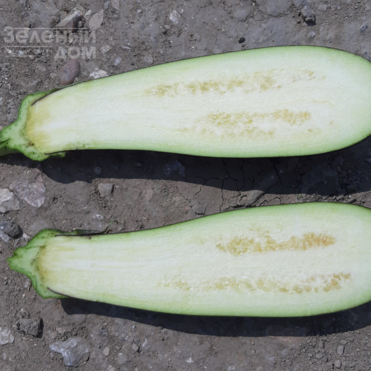 Ельдорадо F1 / Eldorado F1, 60-65 днів фото 4