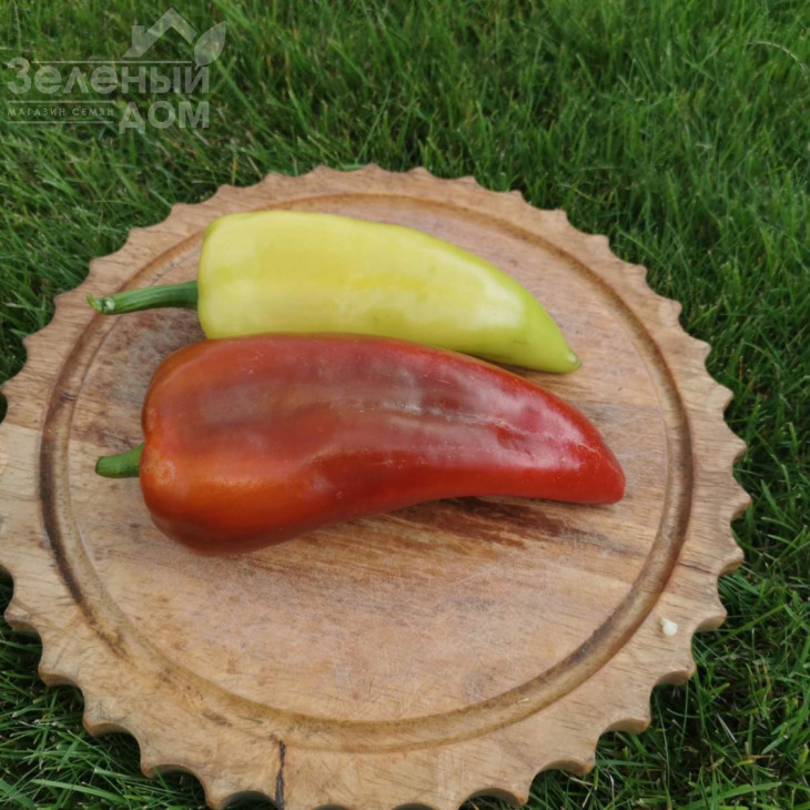 Дует F1 / Duet F1,62-67 днів фото 1