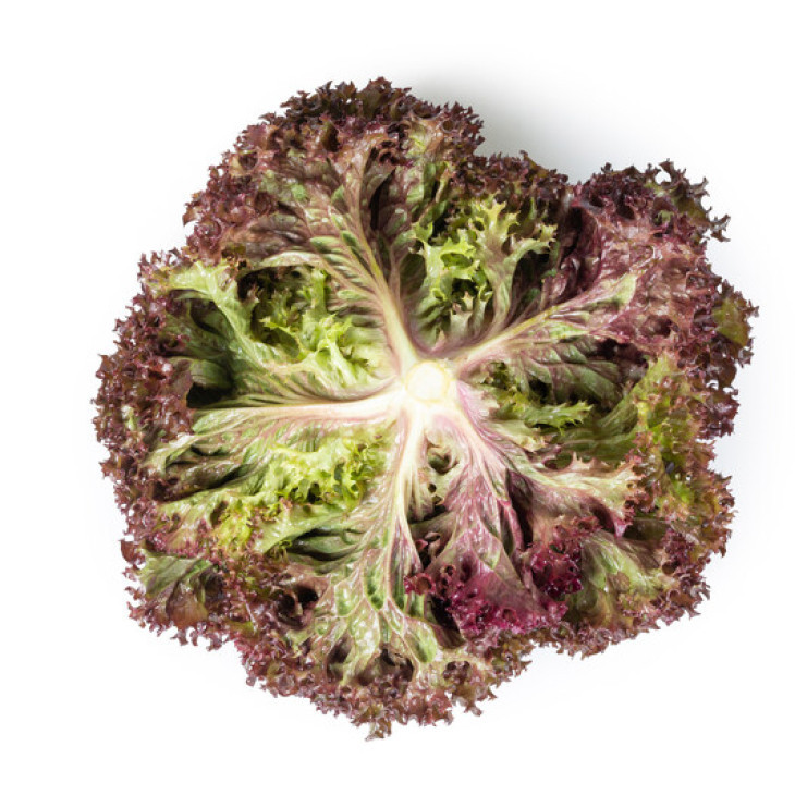 Самантайн / Samantine фото 1