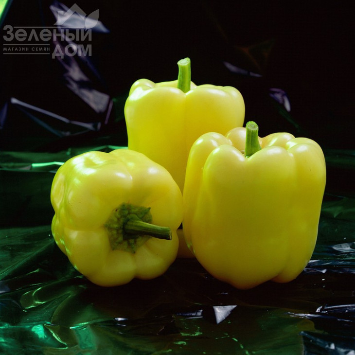 Мадонна F1 / Madonna F1,60-65 днів фото 1