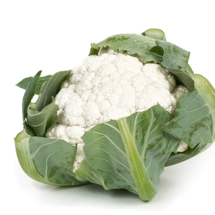 Ариензо F1 / Arienzo F1, 60-65 дней фото 1