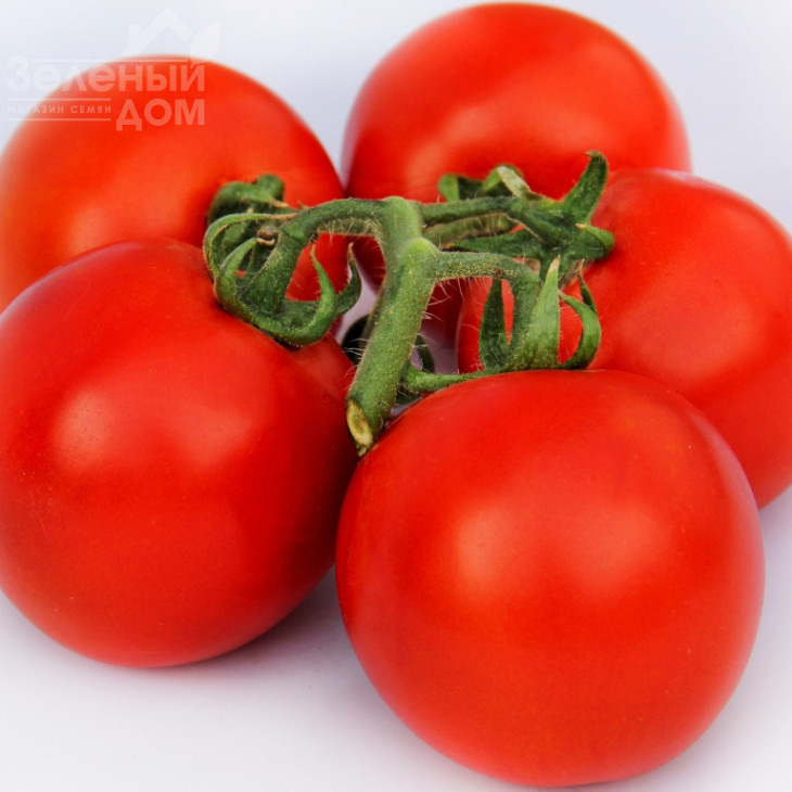 ЛС  1137 F1 / LS 1137 F1,110 днів фото 1