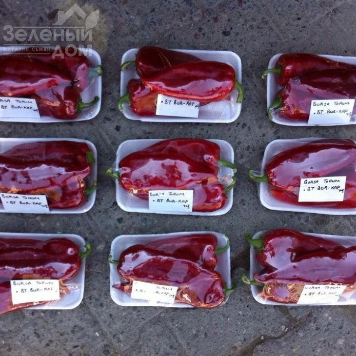 Буркап / Burkap, 70-85 дней фото 3