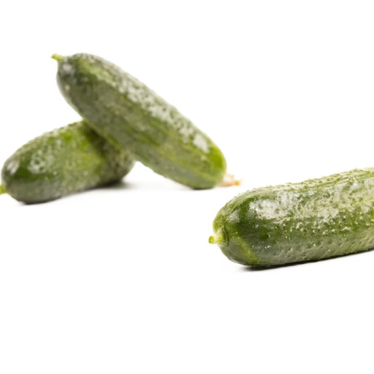 Диез F1 / Diyez F1 фото 4