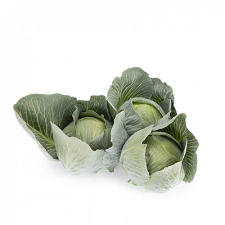 Владіма F1 / Vladima F1, 130 днів фото 2