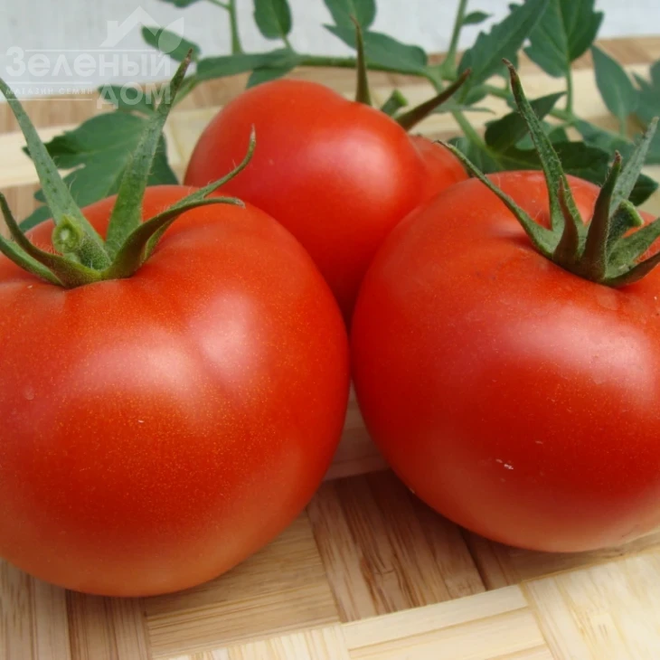 Атерон F1 / Ateron F1 фото 3