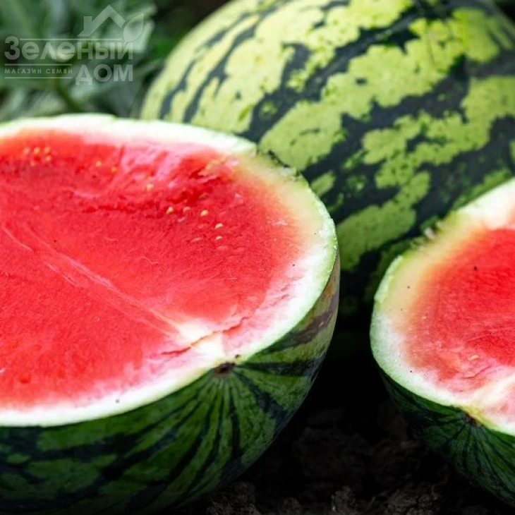 Премиум F1 / Premium F1 фото 1