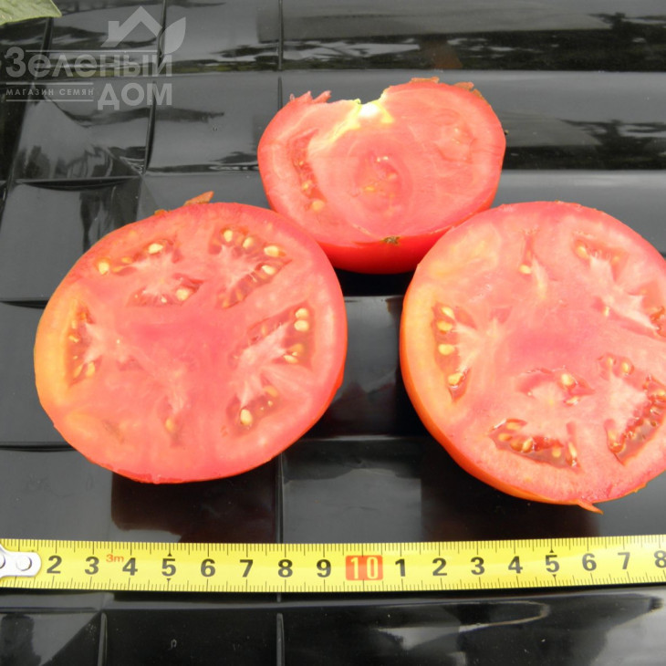 Арнольд (INX 1577) F1 / Arnold (INX 1577) F1,95-100 днів фото 5