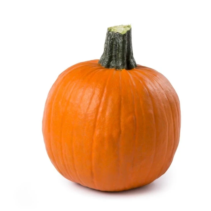 Спайро F1 / Spayro F1  фото 1