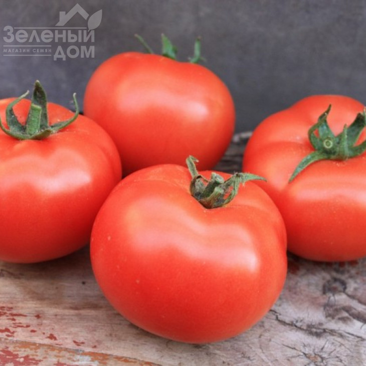 Монсан F1 / Monsan F1,85-100 днів фото 1