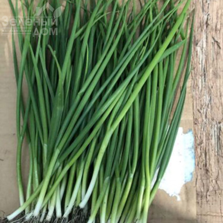 Грінпік F1 / Grinpik F1 фото 1