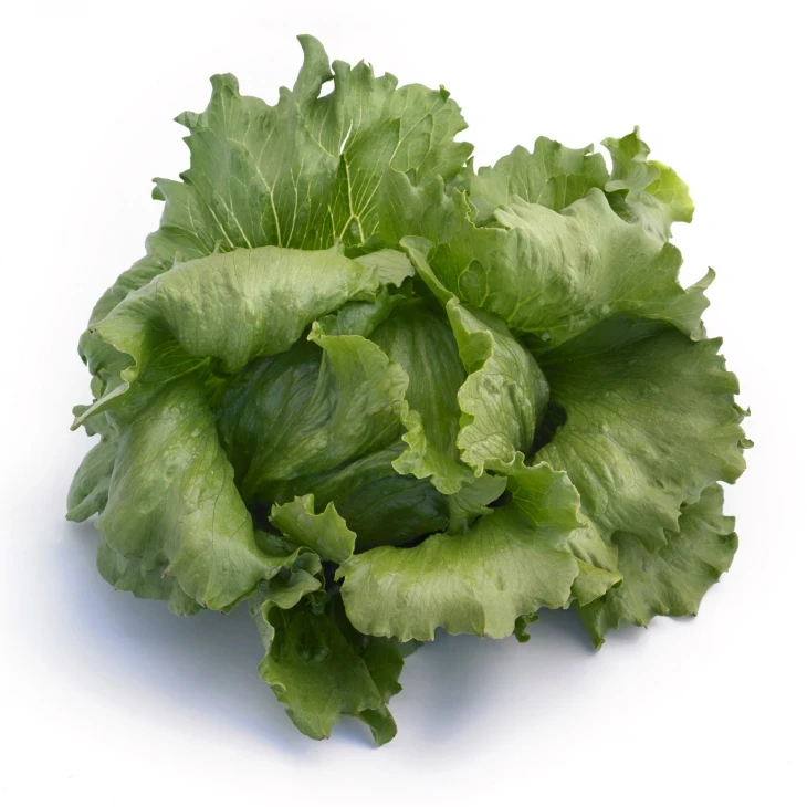 Айс Вейв / Ice Wave фото 1