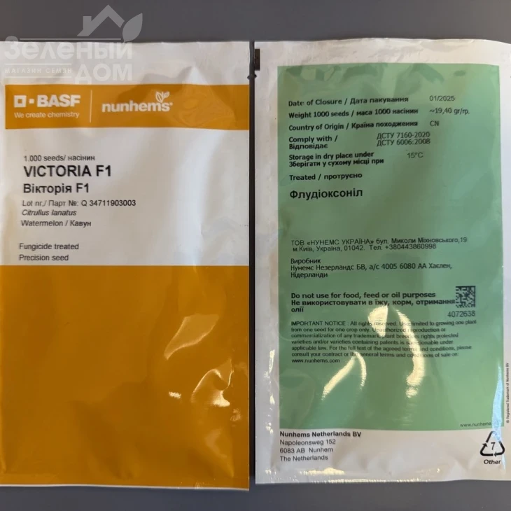 Виктория F1 / Victoria F1,56-60 дней фото 2