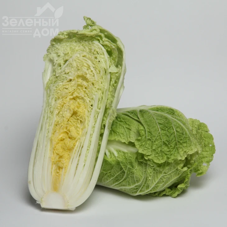 Зимородок F1 / Zymorodok F1,55-65 дней фото 2