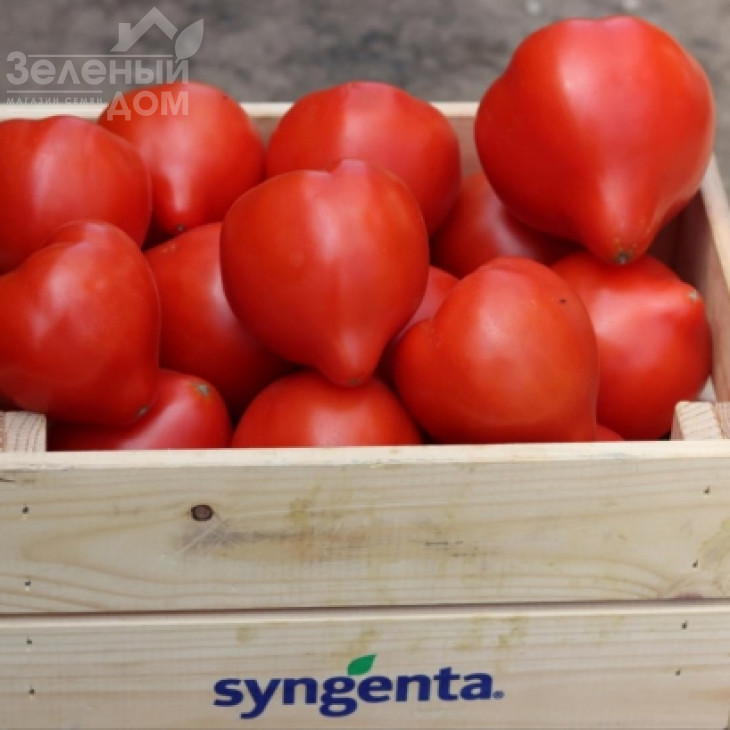 Домінет F1 / Dominet F1 фото 4