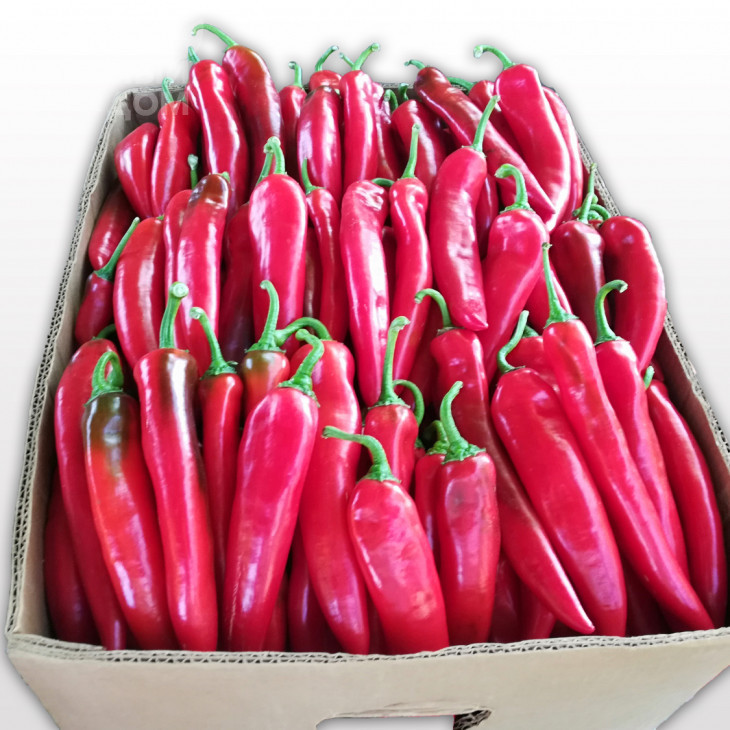 Мехіко F1 / Mexiko F1,75-80 днів фото 2