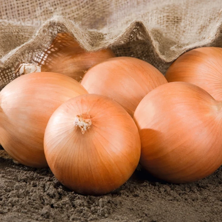 Роухайд F1 / Rawhide F1,110 дней фото 1