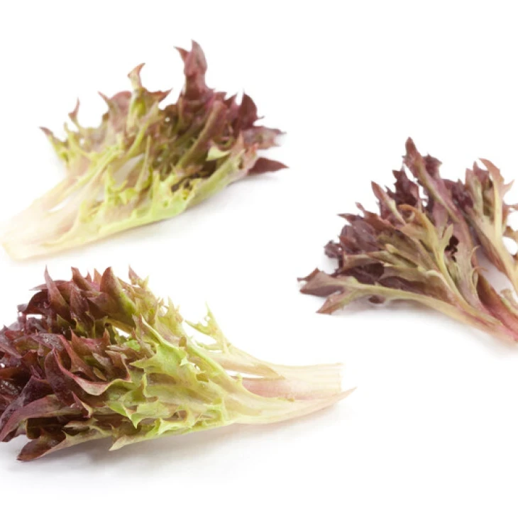 Триплекс / Triplex фото 2