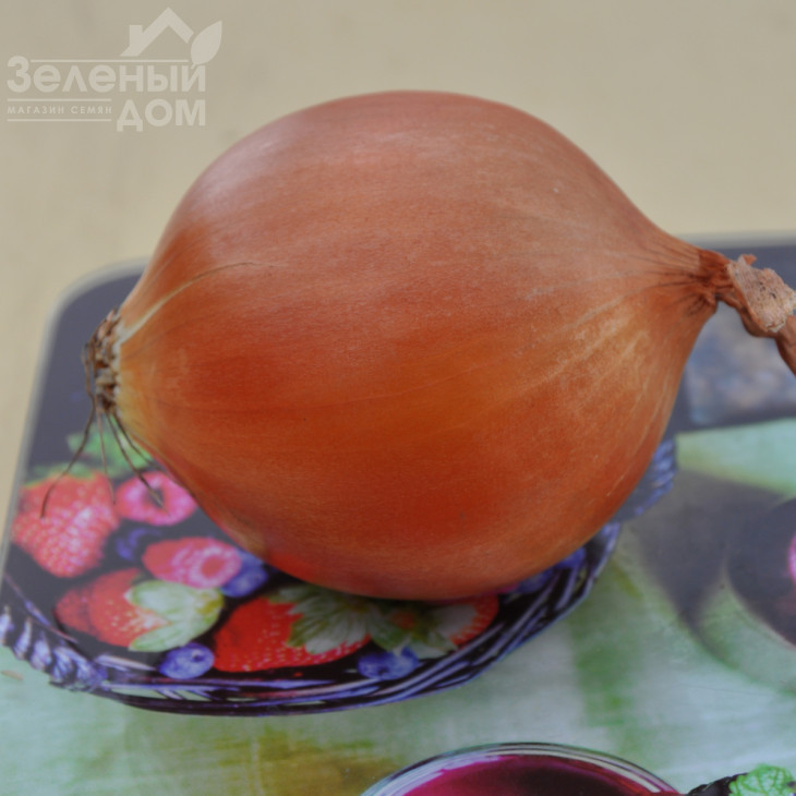 ЕЗ 1104  F1 / EZ 1104  F1 фото 2