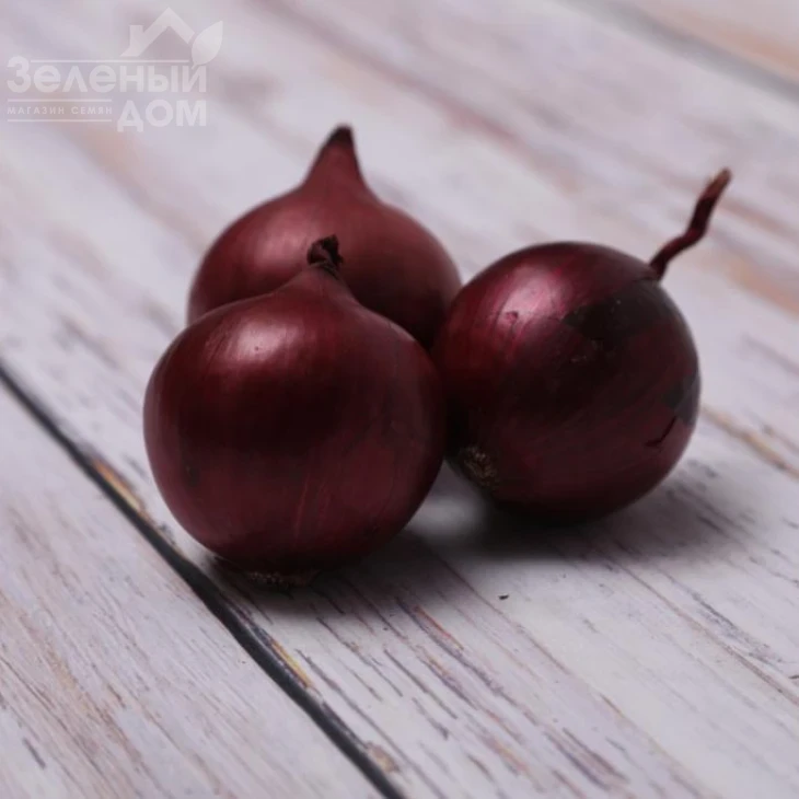 Тимур F1 (LS 5612) / Timur F1 (LS 5612) фото 1