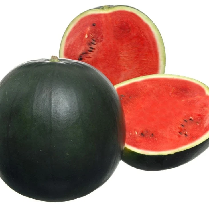 Фаер Бол F1 / Fire Ball F1, 55-50 днів фото 1