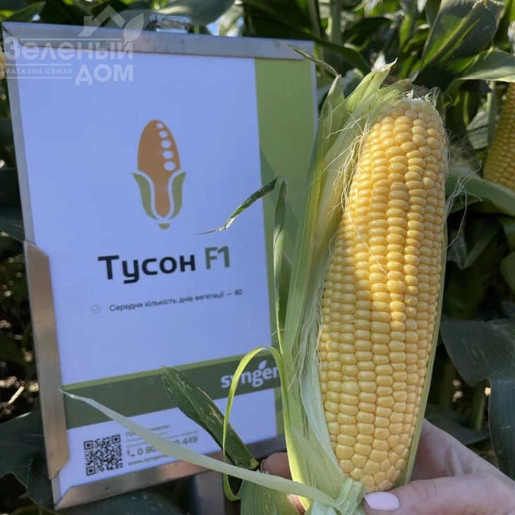 Тайсон F1 / Tyson F1,80 днів фото 4