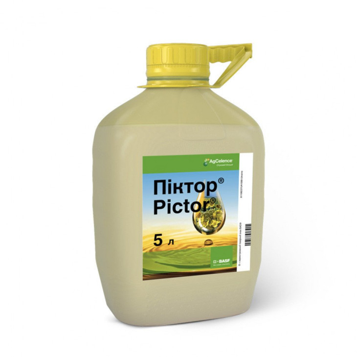 Піктор / Pictor, КС фото 1