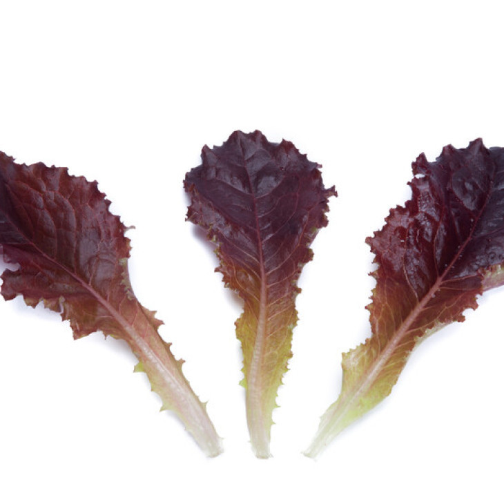 Алборето / Alboreto фото 1