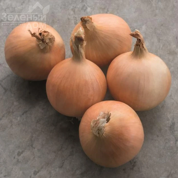 Дритан F1 / Dritan F1,110 дней фото 1