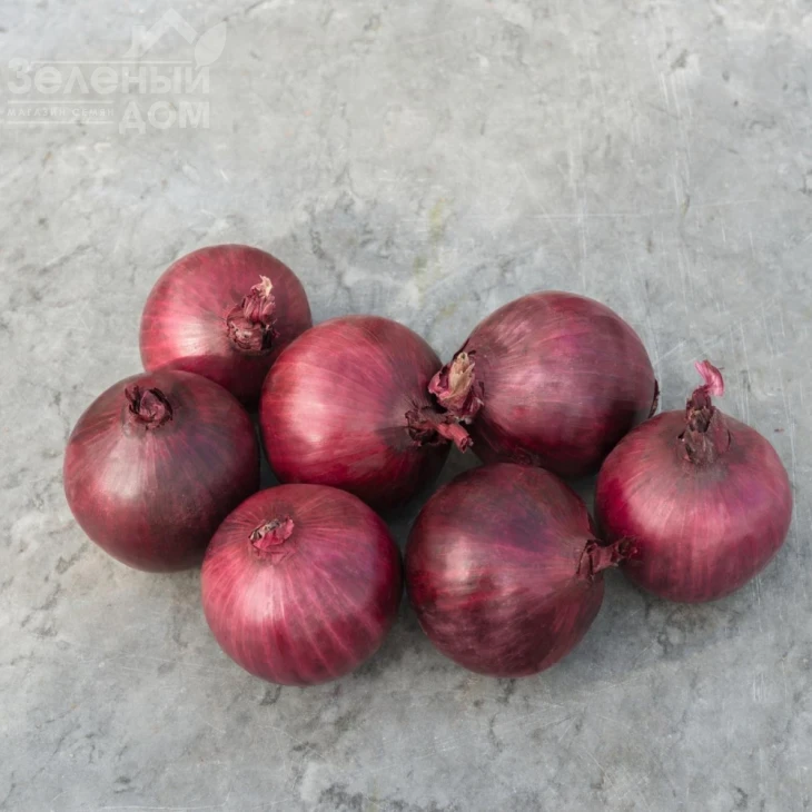 Робин / Robin,110-115 дней фото 1