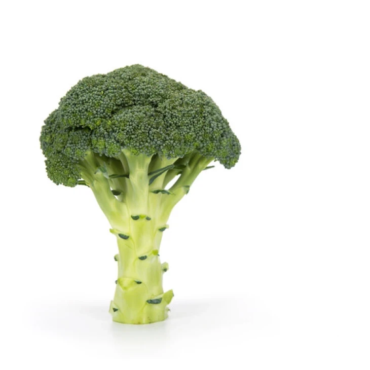 Викарио F1 / Vicario F1, 65-70 дней фото 4