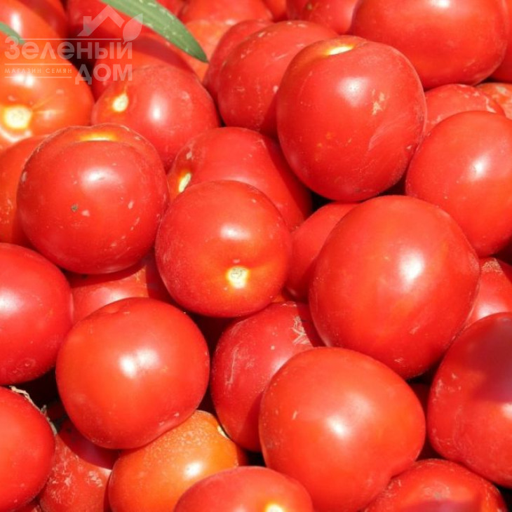 Уно Россо F1 / Uno Rosso F1,97-100 днів фото 2