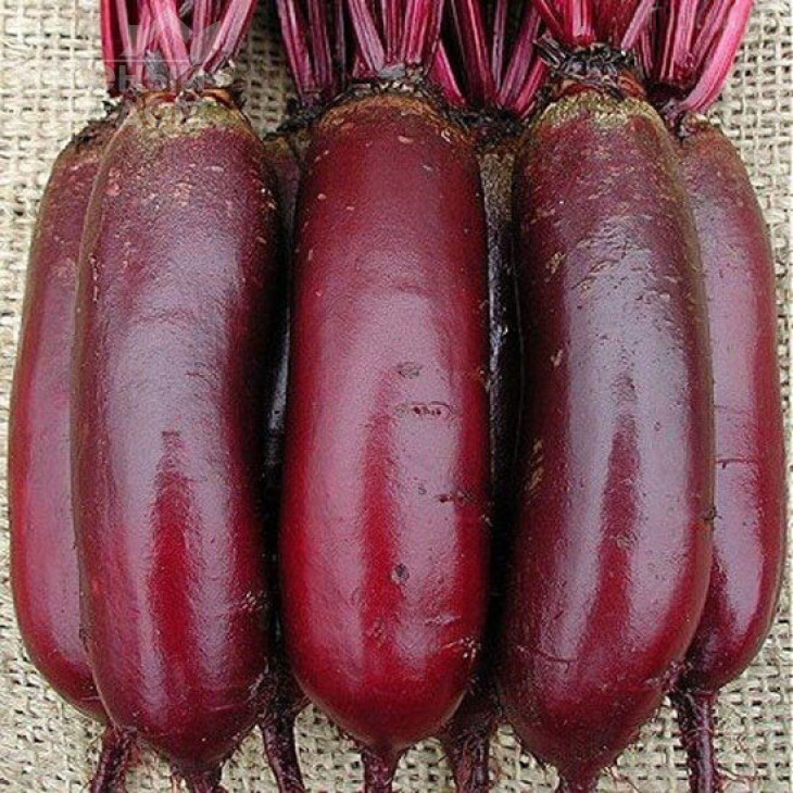 Опольський / Opolskyi фото 1