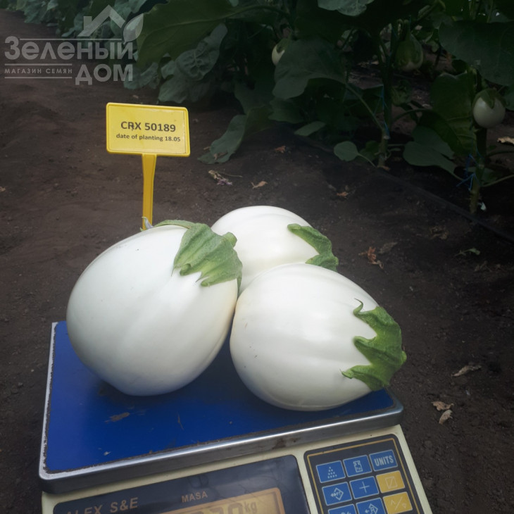 ЦРХ 50189 F1 / CRX 50189 F1 фото 1