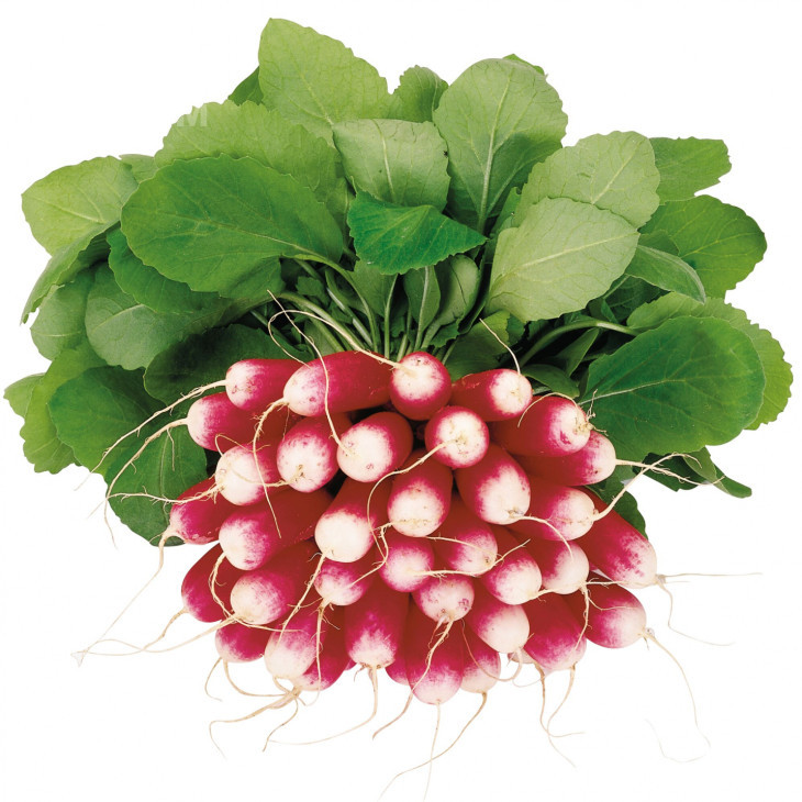 Трето F1 / Treto F1 фото 1