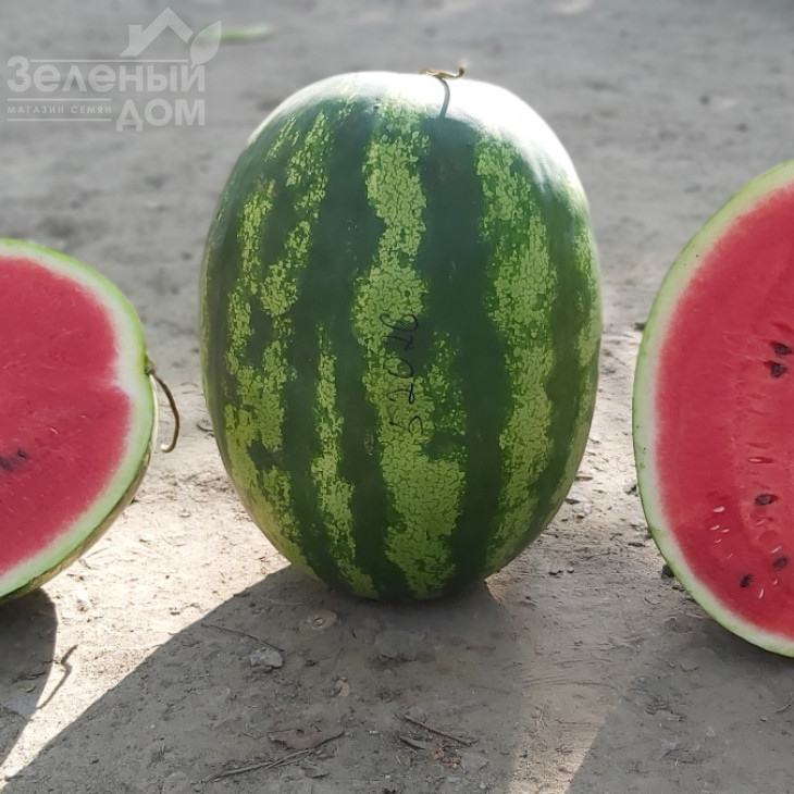 Бомбейро F1 / Bombeiro F1 фото 1