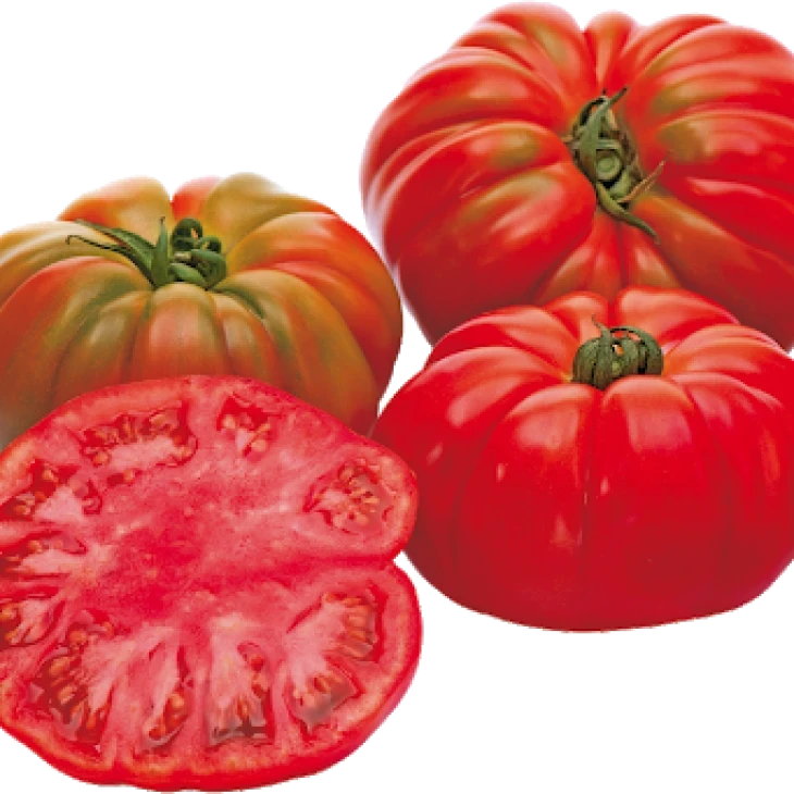 Ред Кой F1 / Red Coy F1,100-110 дней фото 1