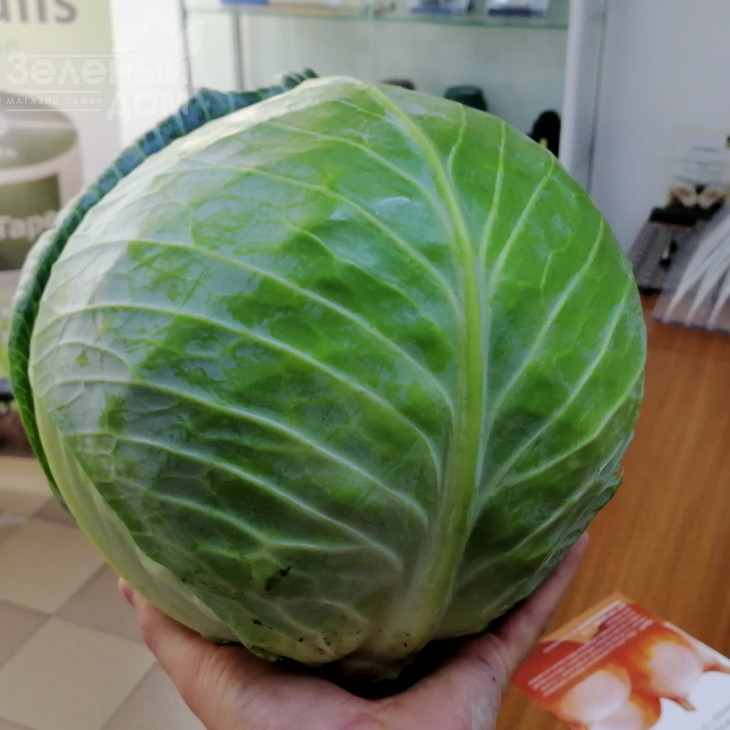 ЖС 83 F1 / JS 83 F1 фото 1