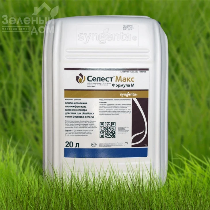 Селест Макс 165 FS / Celest Maxx  165 FS фото 1