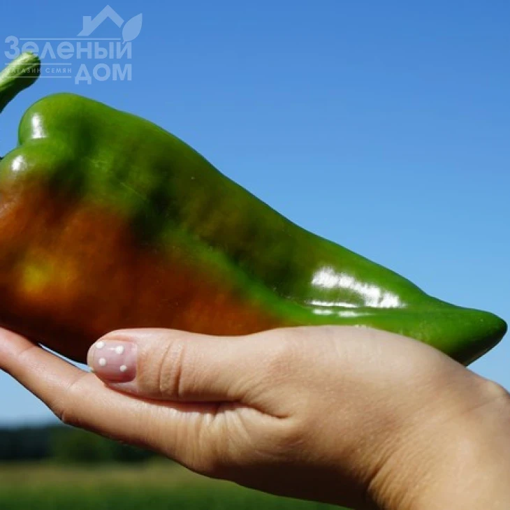 Редкан F1 / Redkan F1,76 дней фото 2